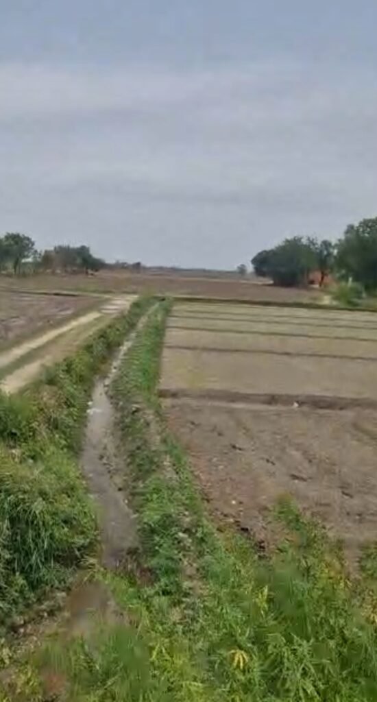 Agriculture Land and farmhouse land for sale in Baldeo tahsil mahavan mathura