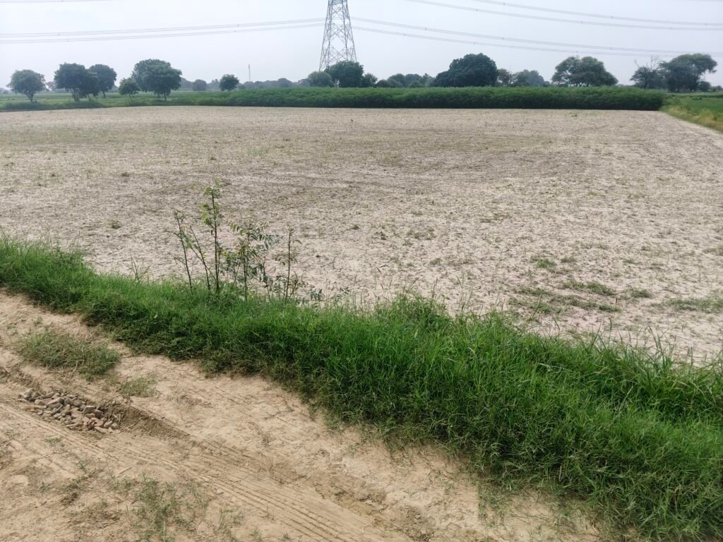 Agriculture Land and Farmhouse Land for sale in Bajna,Mant,Mathura