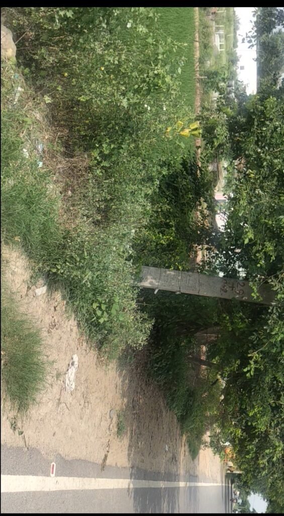 Agriculture land,Farmhouse land/On Road Land with Residential Potential in Bajna,Mant Mathura