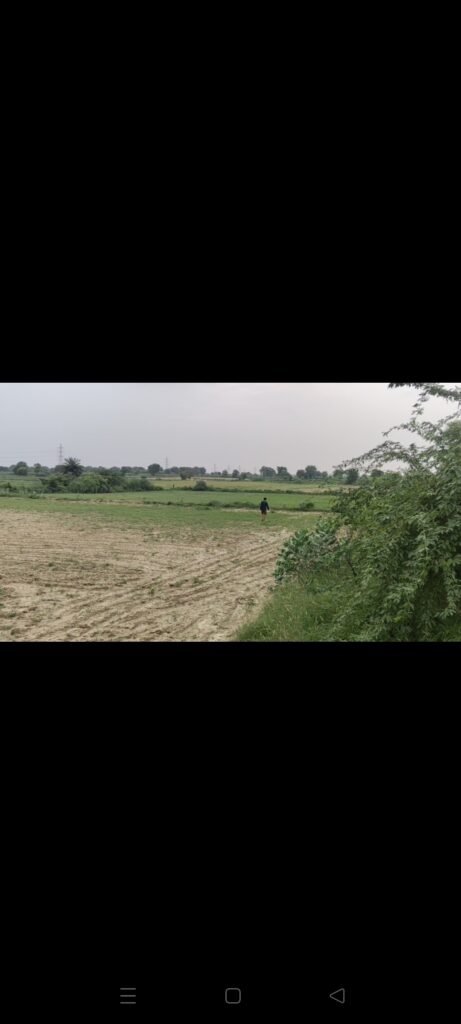 75 Bigha Agriculture Land for Sale in Baldeo, Mahavan, Mathura