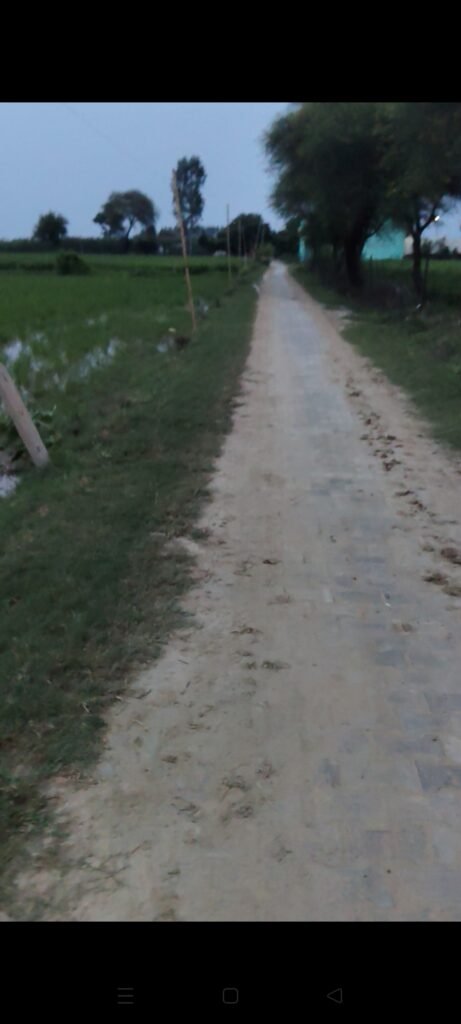 6.5 Bigha(Kachha Bigha)Agriculture Land/Ploting purpose for Sale in Mant Mathura