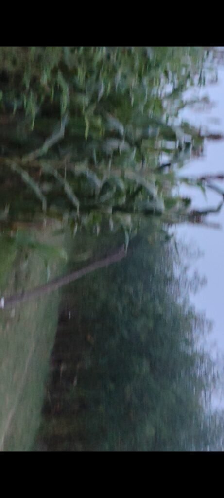 5 Bigha Agriculture Land for Sale in Mant, Mathura
