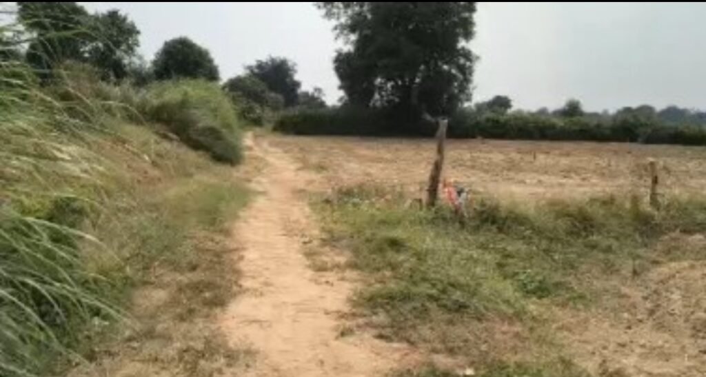 15 Bigha SC Agriculture Land for Sale in Mant, Mathura