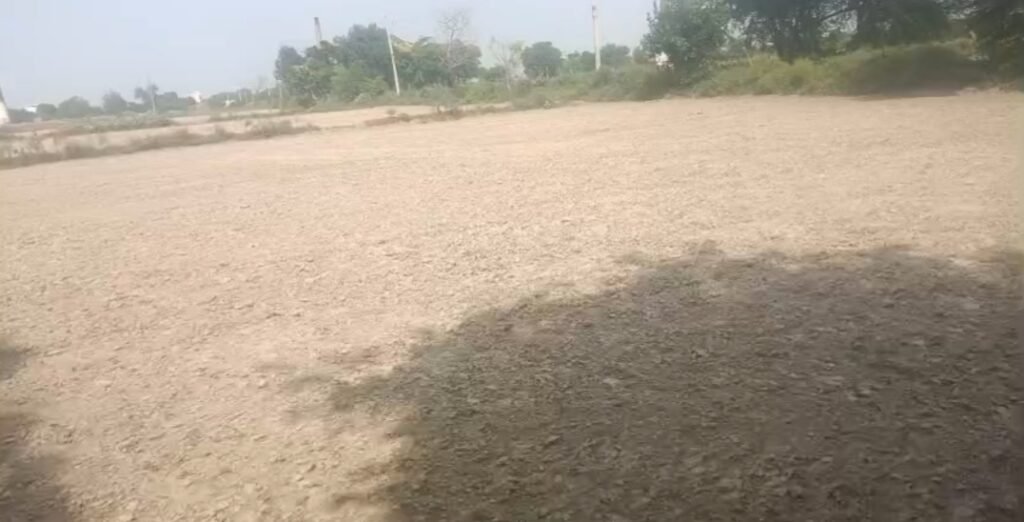 38 Bigha Land Plotting purpose for Sale in Surir, Mant, Mathura